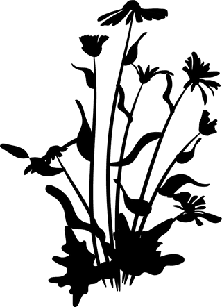 blackdecorative-floral-design-elements-25816