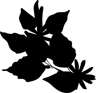 blackdecorative-floral-design-elements-27638