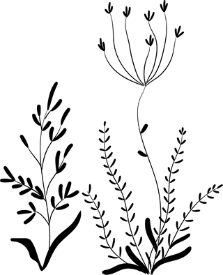blackdecorative-floral-design-elements-24057