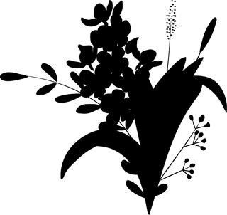 blackdecorative-floral-design-elements-606943