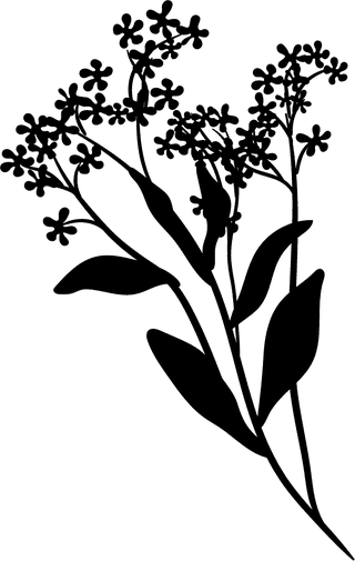 blackdecorative-floral-design-elements-20600