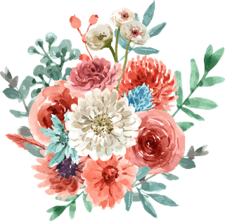 flowerbloom-flower-watercolor-pink-chrysanthemum-white-decorative-use-16100