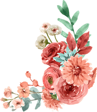 flowerbloom-flower-watercolor-pink-chrysanthemum-white-decorative-use-693464