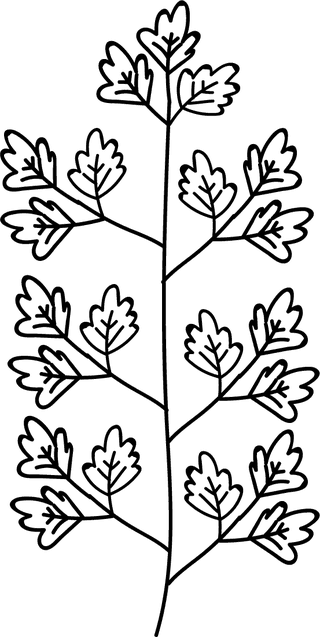 flowerleaf-icons-lineart-design-black-white-decor-501192