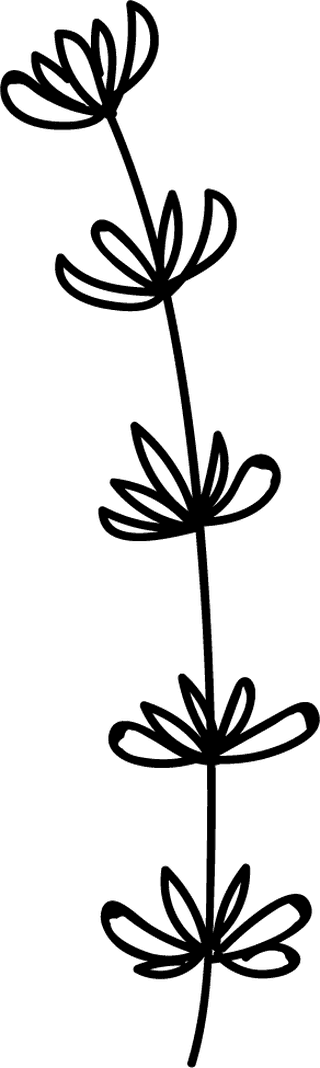 flowerleaf-icons-lineart-design-black-white-decor-189150