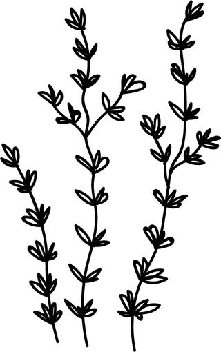 flowerleaf-icons-lineart-design-black-white-decor-229483