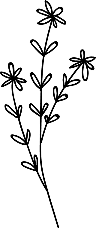 flowerleaf-icons-lineart-design-black-white-decor-773609
