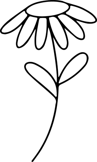 minimalbotanical-hand-drawing-floral-line-art-design-146267