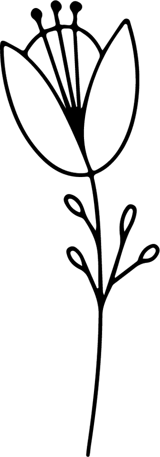 minimalbotanical-hand-drawing-floral-line-art-design-123753