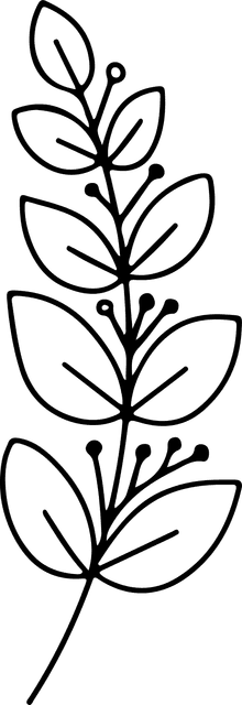 minimalbotanical-hand-drawing-floral-line-art-design-119506