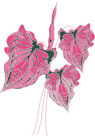 simplepink-flowers-illustration-702786