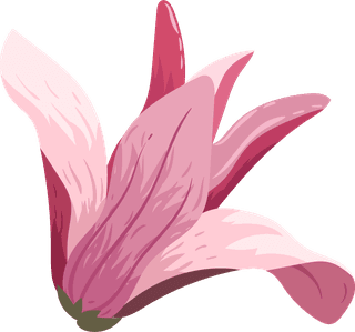 flowersicons-colored-classical-sketch-159408