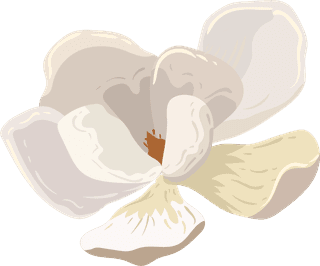 flowersicons-colored-classical-sketch-824249