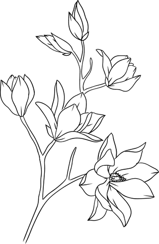 flowersplants-bontanical-vector-cover-573433