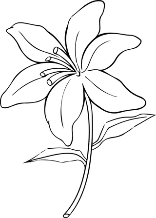 flowersplants-bontanical-vector-cover-171413