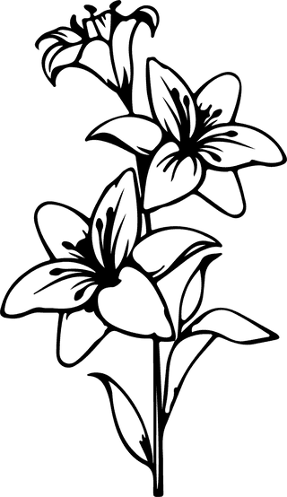 flowersplants-bontanical-vector-cover-453