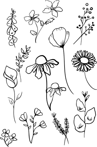 flowersplants-bontanical-vector-cover-69884