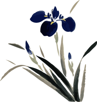 flowersplants-bontanical-vector-cover-773745