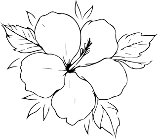 flowersplants-bontanical-vector-cover-939062
