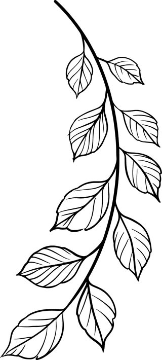 flowersplants-bontanical-vector-cover-668025