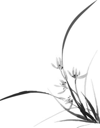 flowersplants-bontanical-vector-cover-802362