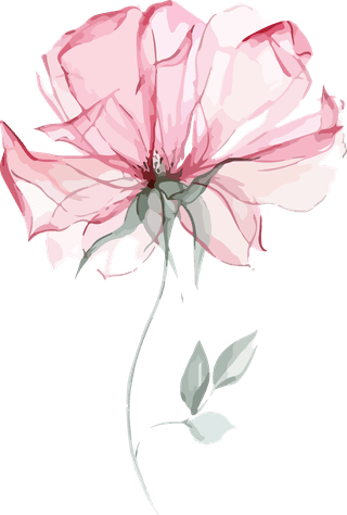 flowersplants-bontanical-watercolor-vector-cover-794878