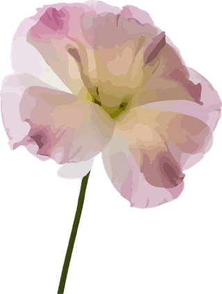 flowersplants-bontanical-watercolor-vector-cover-43241