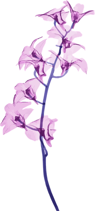flowersplants-bontanical-watercolor-vector-cover-754260