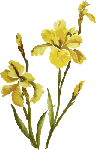 flowersplants-bontanical-watercolor-vector-cover-835757