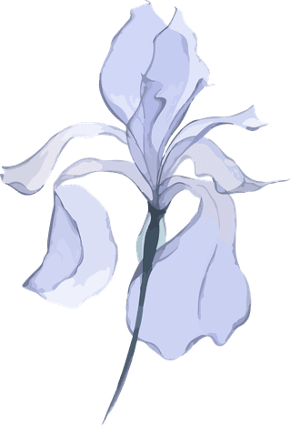 flowersplants-bontanical-watercolor-vector-cover-771411