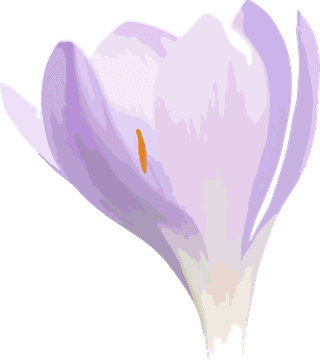 flowersplants-bontanical-watercolor-vector-cover-75935