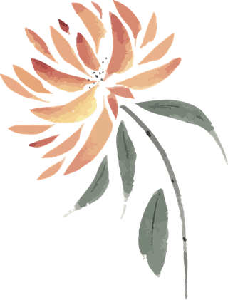 flowersplants-bontanical-watercolor-vector-cover-874915