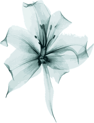 flowersplants-bontanical-watercolor-vector-cover-502003