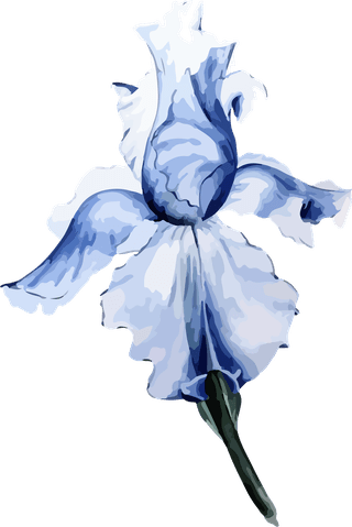 flowersplants-bontanical-watercolor-vector-cover-213343