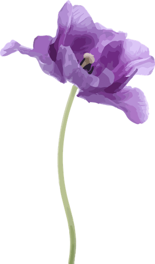 flowersplants-bontanical-watercolor-vector-cover-957468
