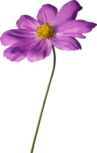flowersplants-bontanical-watercolor-vector-cover-508011