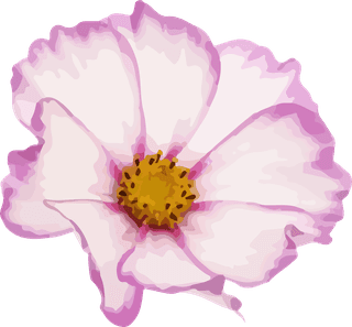 flowersplants-bontanical-watercolor-vector-cover-428773