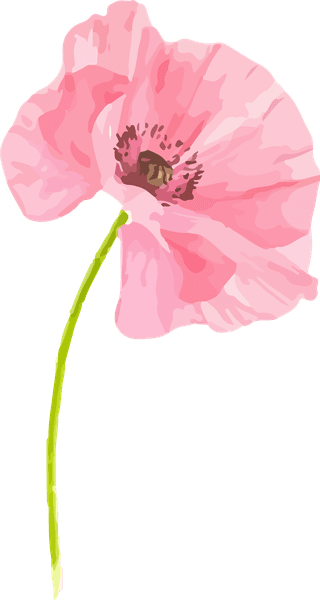 flowersplants-bontanical-watercolor-vector-cover-548701
