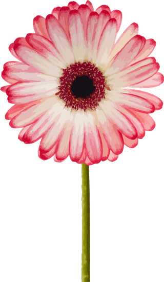 flowersplants-bontanical-watercolor-vector-cover-588854