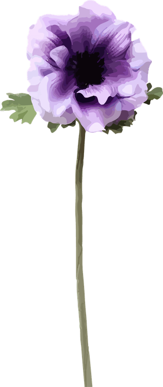 flowersplants-bontanical-watercolor-vector-cover-367727