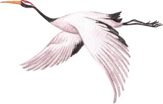 flyingbird-instagram-temolate-with-400899