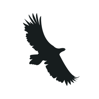 flyingbird-silhouette-black-bird-943923