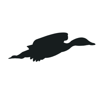 flyingbird-silhouette-black-bird-945668