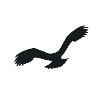flyingbird-silhouette-black-bird-951424