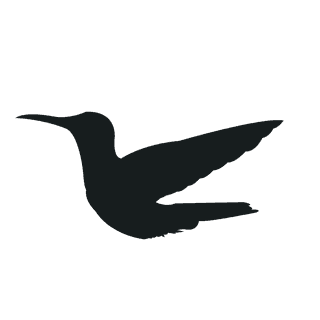 flyingbird-silhouette-black-bird-956629