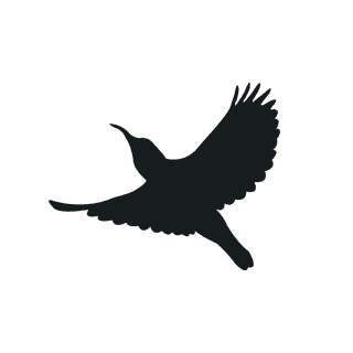 flyingbird-silhouette-black-bird-959100