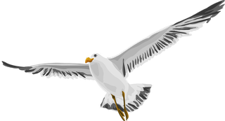 flyingbird-vector-sea-gull-84925