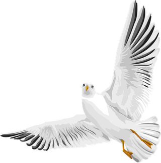 flyingbird-vector-sea-gull-354947