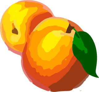 foodand-fruit-mix-art-vector-cover-680068