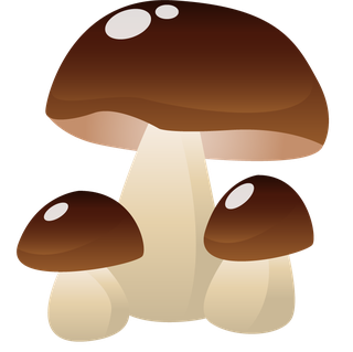 simplemushroom-forest-illustration-966928